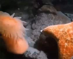4977768 B