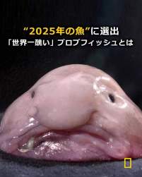 28083 B