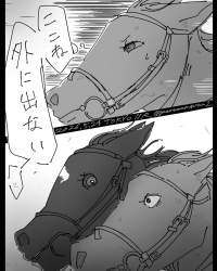 147595 B