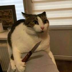 68797 B