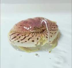 1274758 B
