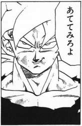 23786 B