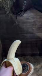4535277 B