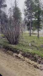 4037145 B