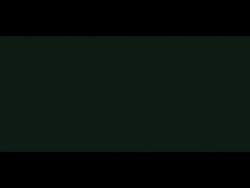 274316 B