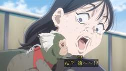 223975 B