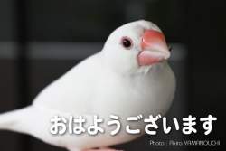 28633 B