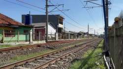 3510443 B