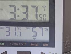 1298060 B