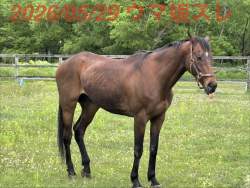 574514 B