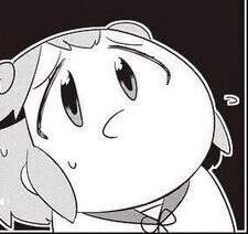 20895 B