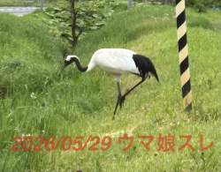 245638 B