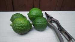 521342 B