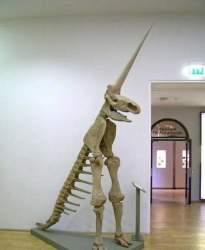 57606 B