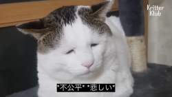 131523 B