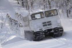 50533 B