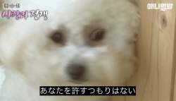 66548 B
