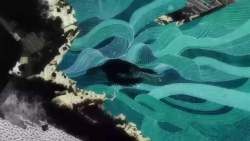 8172297 B