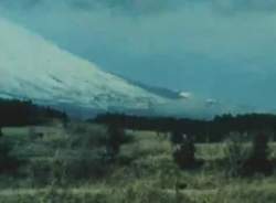 5646754 B