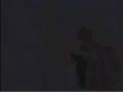 4448113 B