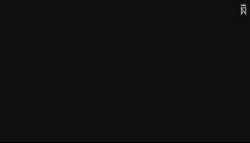 7295593 B