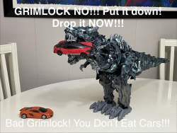 421181 B