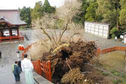 338166 B