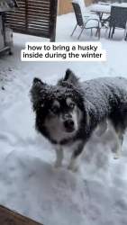 7339787 B