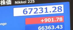 44331 B