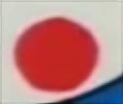 13045 B