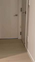 4320427 B
