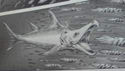 15659 B