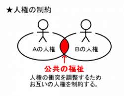 7386 B