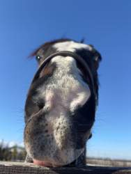 712787 B