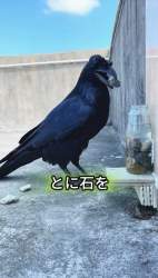 448451 B