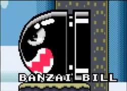 21144 B