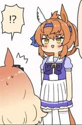 33598 B