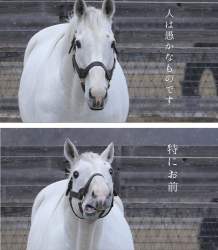 141209 B