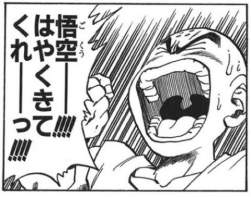 67896 B
