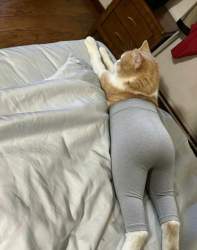 68653 B