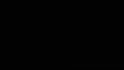 3029804 B