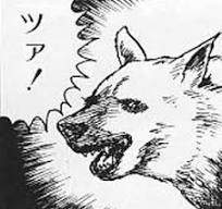 9666 B