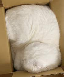 322197 B