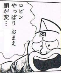 21173 B
