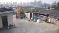 2256639 B