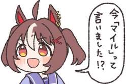 52777 B
