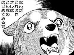 33236 B