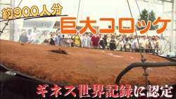 88065 B