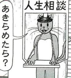 24441 B