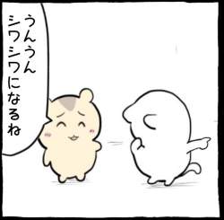 35686 B